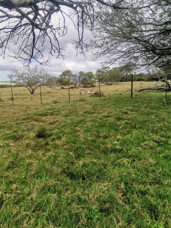 0 Bedroom Property for Sale in Albertinia Western Cape